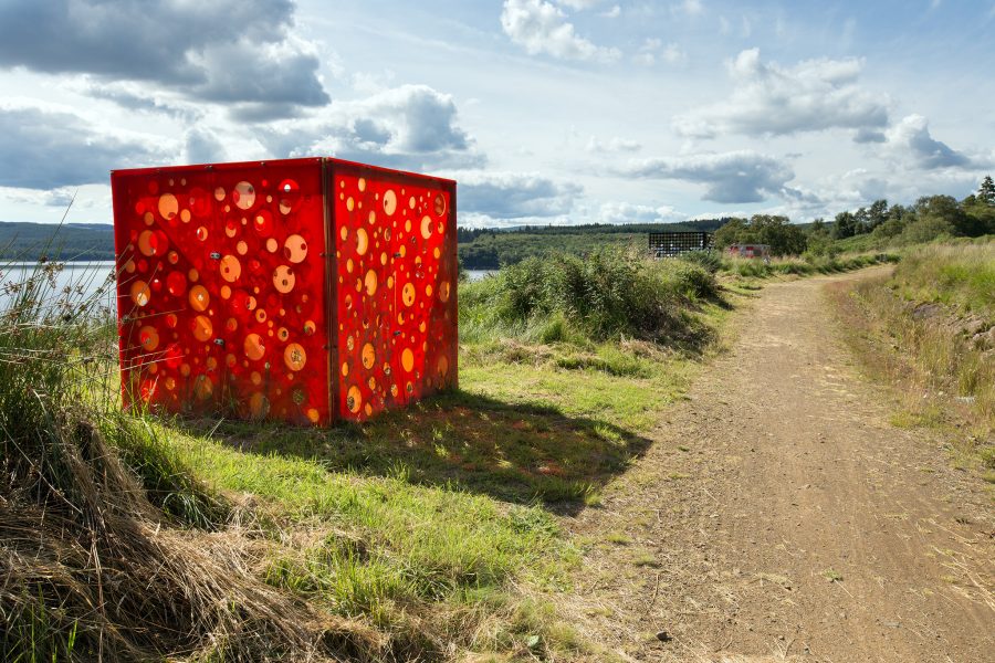 Salmon Cubes