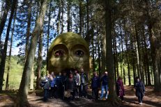 Guided Tour